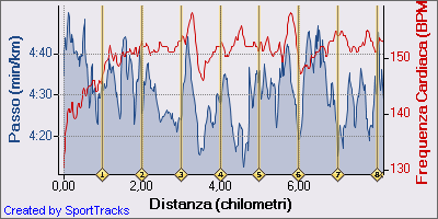 Medio 8 Km lento 22-02-2010, Passo - Distanza